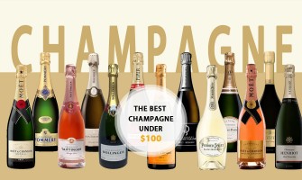 Discover The Best Champagne Under $100: Savor Luxury Without Breaking The Bank