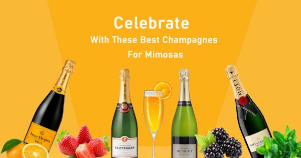 A Guide To The Best Champagne For Every Budget & Occasion 