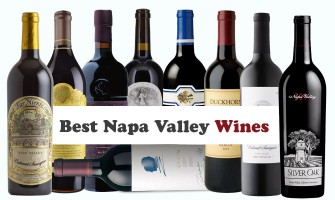 Best Napa Valley Wines: Handpicked Selections for Every Wine Lover