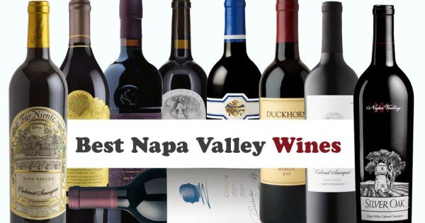 Best Napa Valley Wines: Handpicked Selections for Every Wine Lover