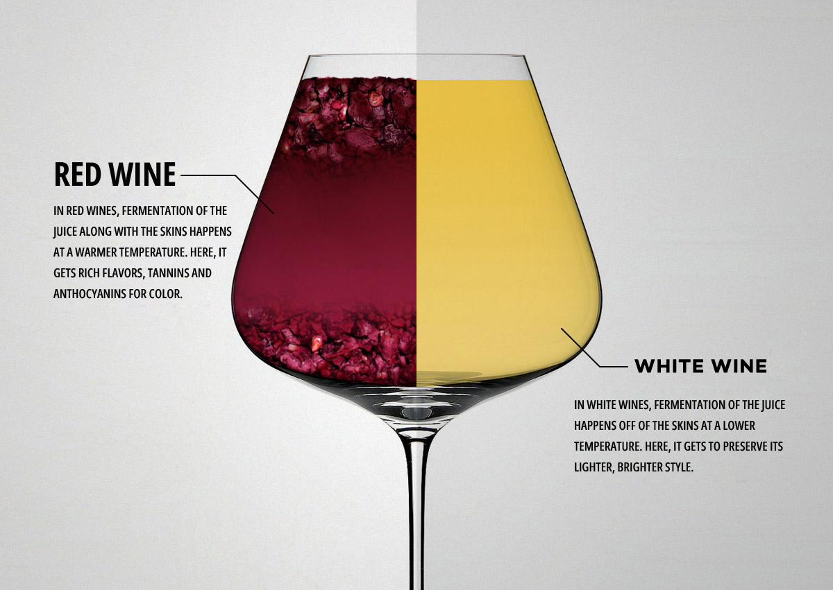 Red And White Wine Made From Different Parts Of The Grape
